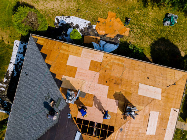 Best Roof Waterproofing Services  in Alto, GA