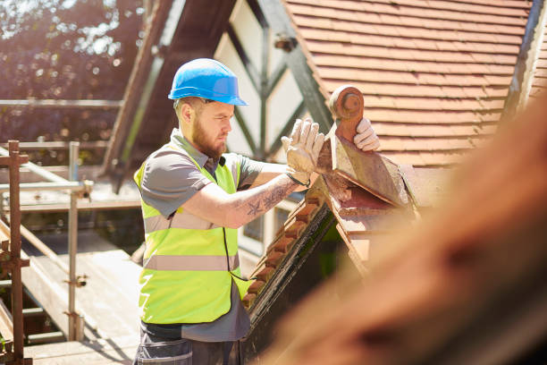 Best Metal Roofing Contractor  in Alto, GA