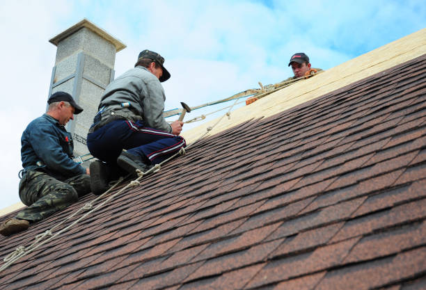 Best Storm Damage Roof Repair  in Alto, GA